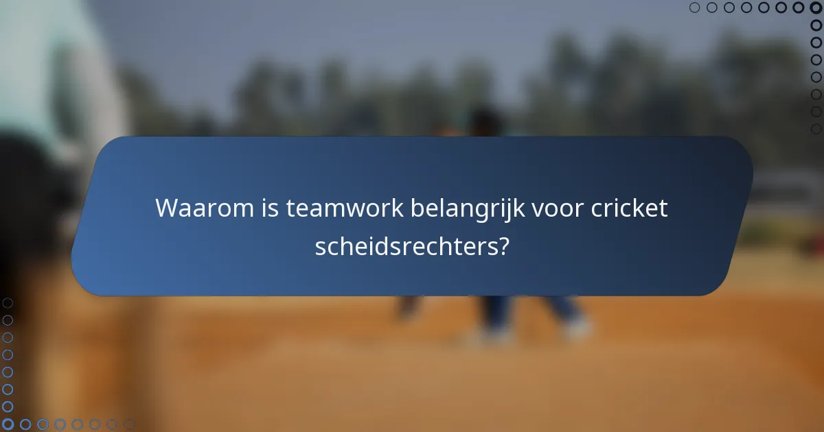 Waarom is teamwork belangrijk voor cricket scheidsrechters?