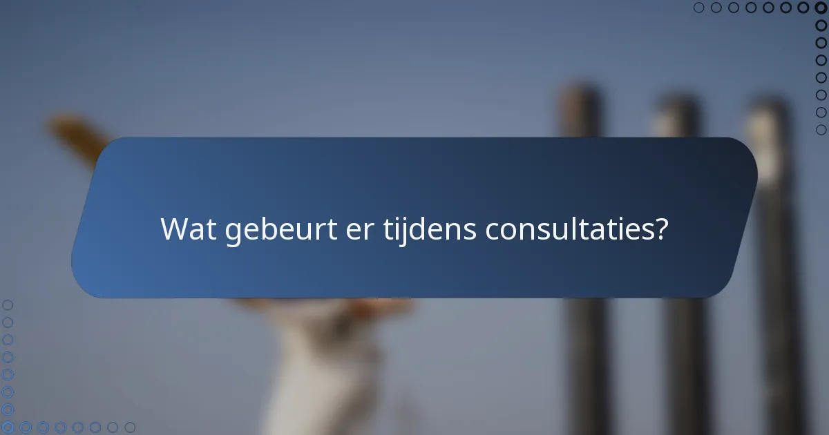 Wat gebeurt er tijdens consultaties?