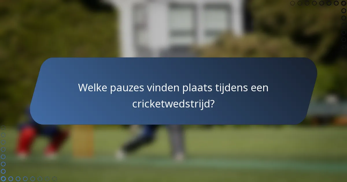 Welke pauzes vinden plaats tijdens een cricketwedstrijd?